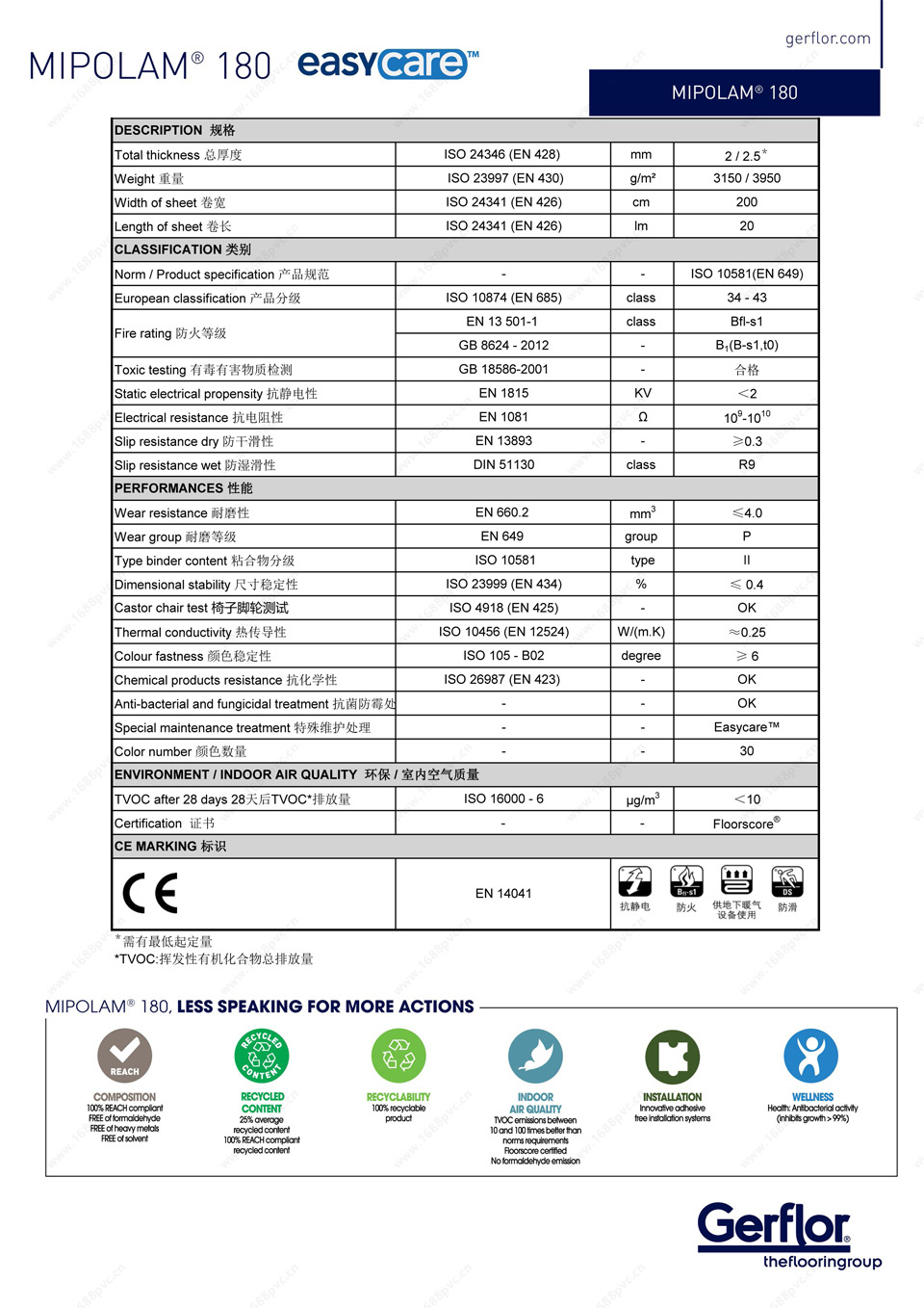 p6.jpg