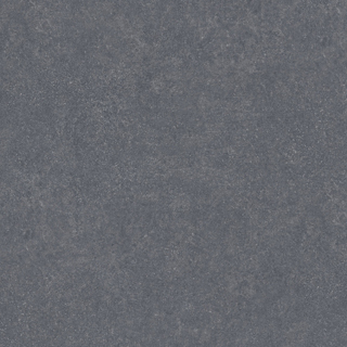 2790.jpg