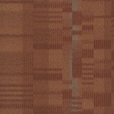 thumbnail (11).jpg