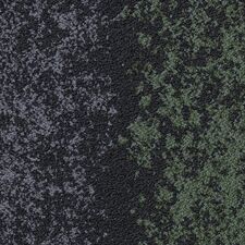 thumbnail (2).jpg