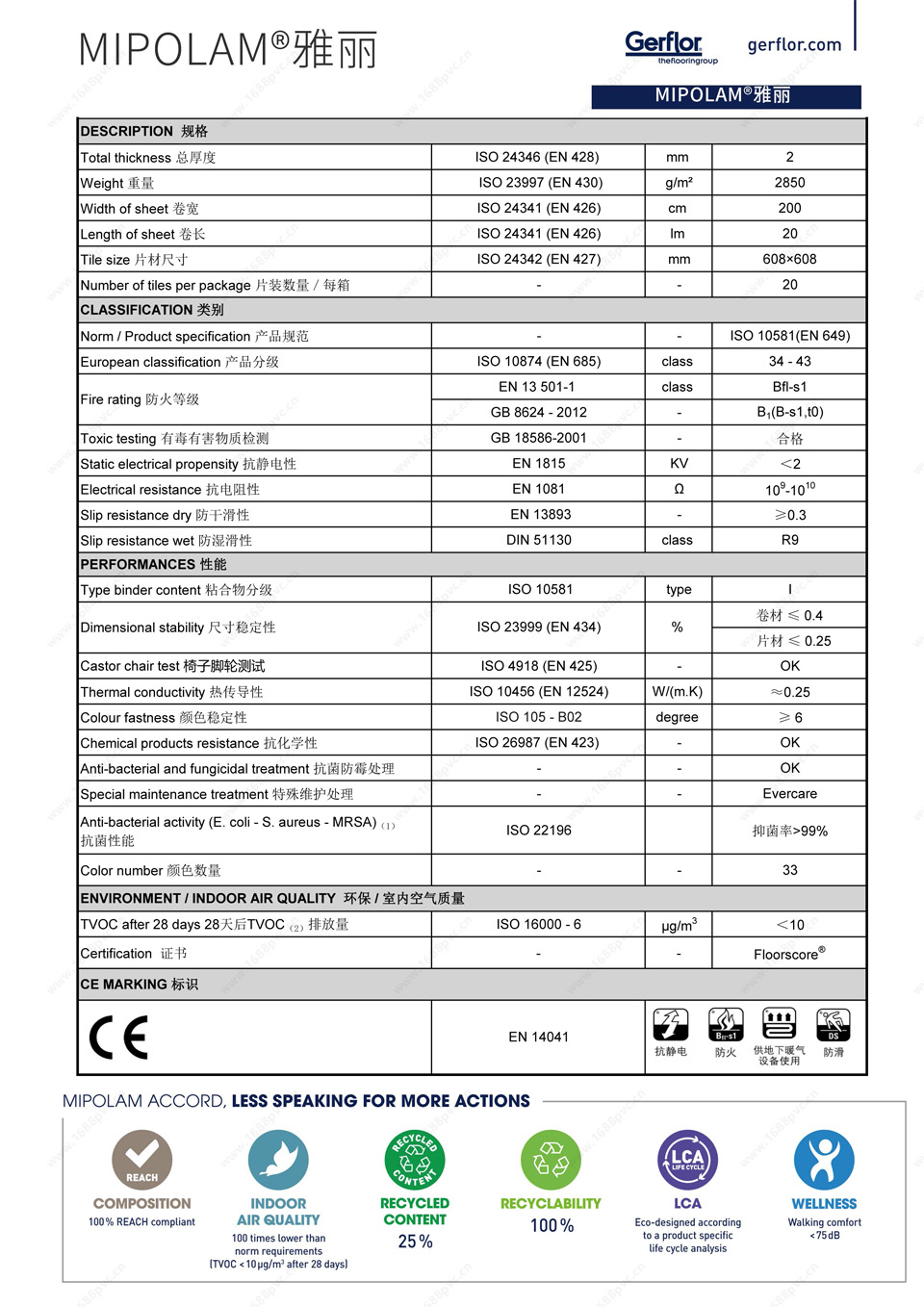 p8.jpg