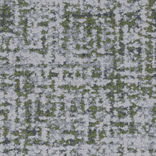Bamboo.jpg