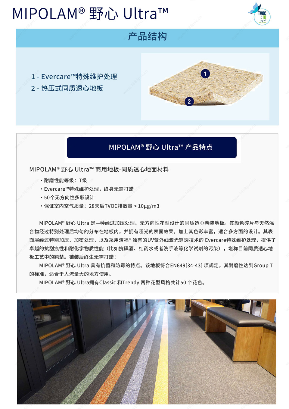 p2.jpg