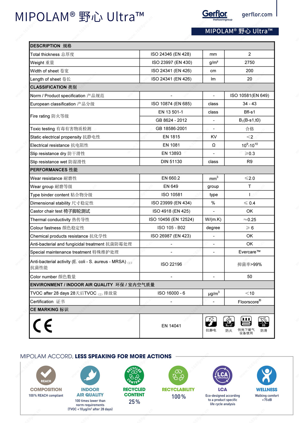 p12.jpg