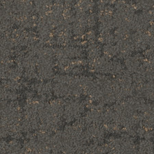 84761.jpg