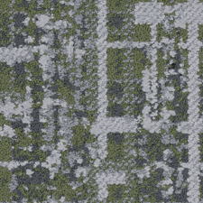 Bamboo.jpg