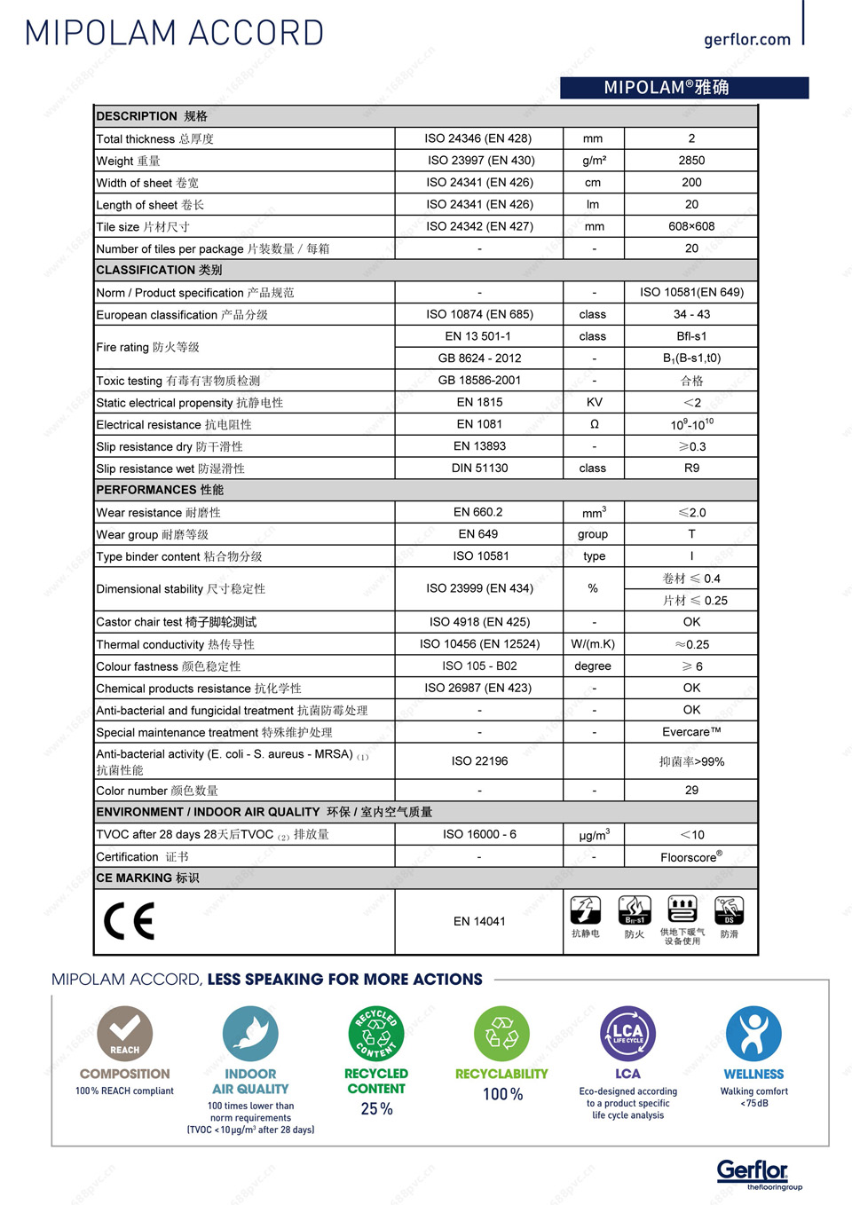 p7.jpg