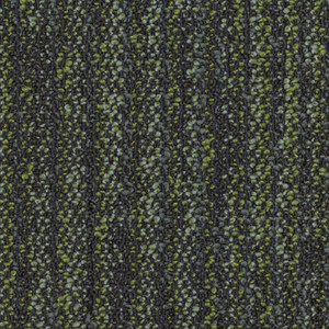 10005.jpeg