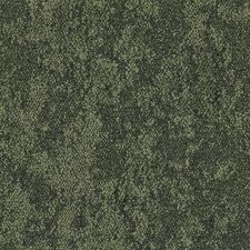 Moss.jpg