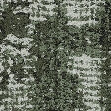 Ivy.jpg