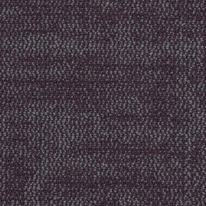 76979.jpg