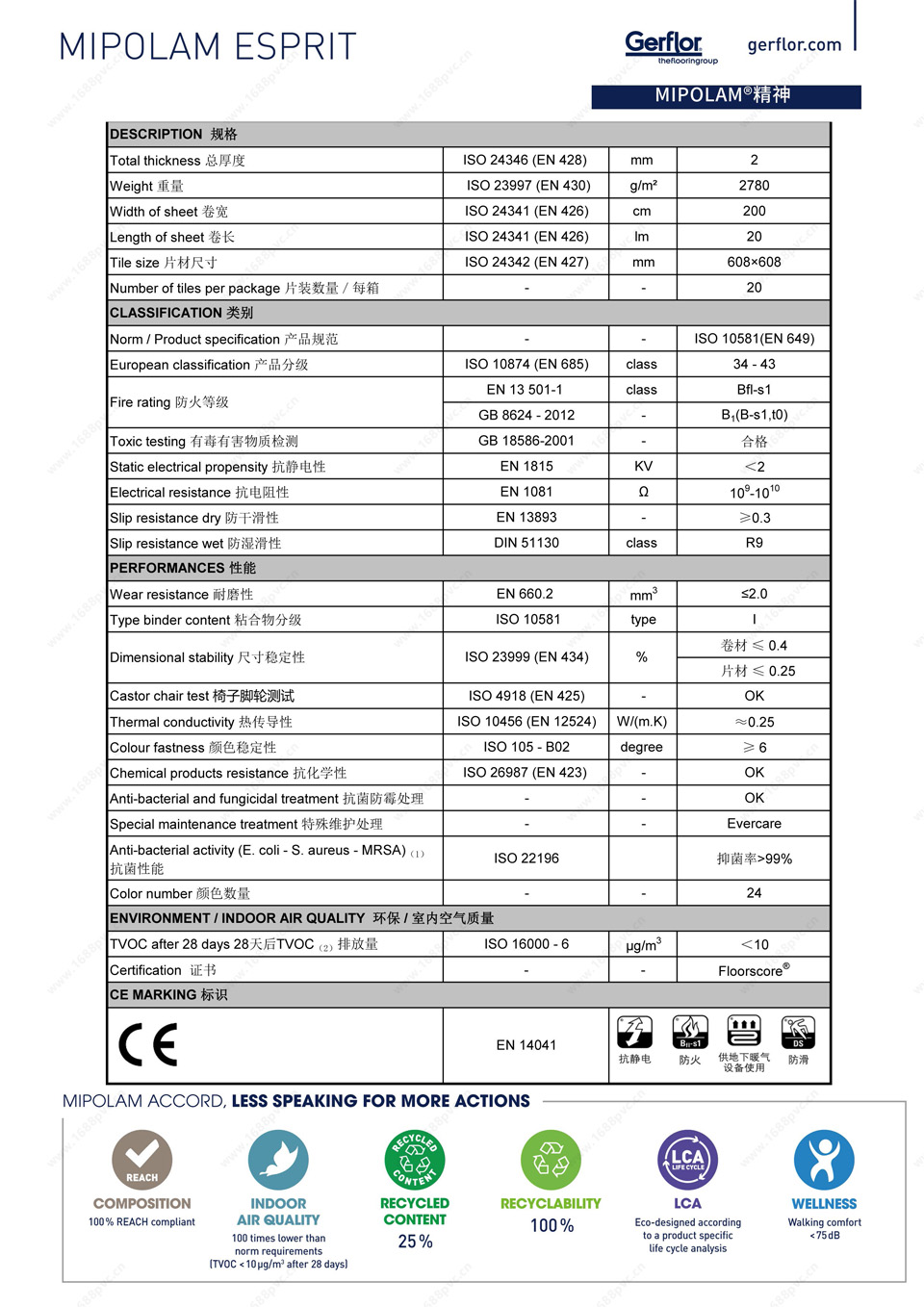 p6.jpg