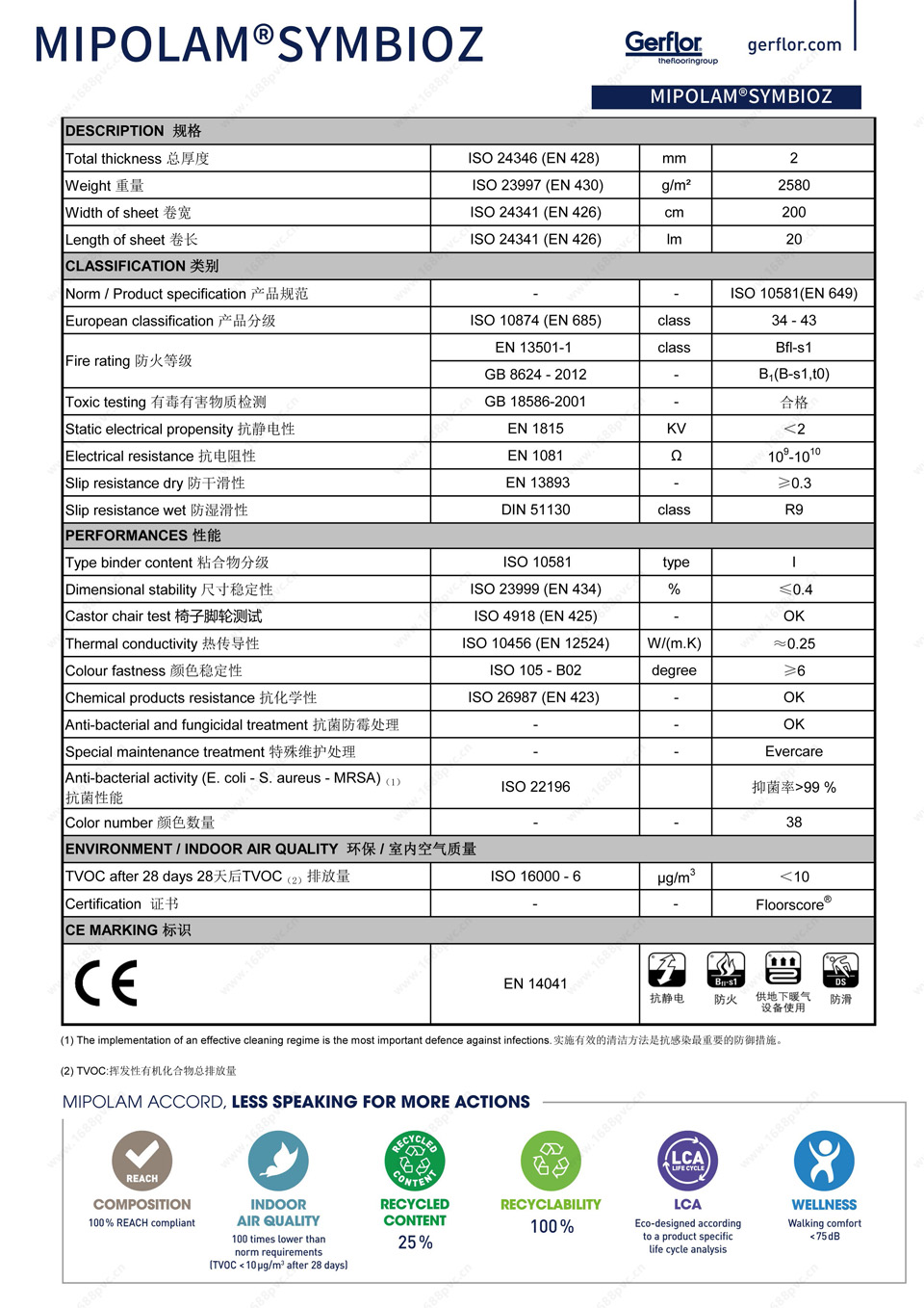 p10.jpg