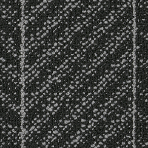 Black.jpg