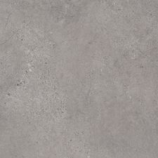 Rugged Platinum.jpg