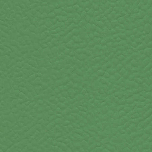 6556.jpg