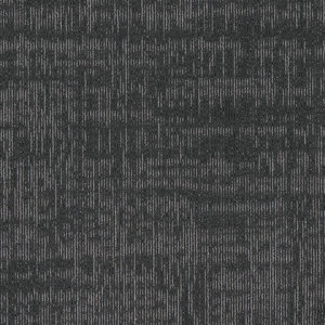 08597.jpg