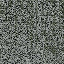 Ivy.jpg