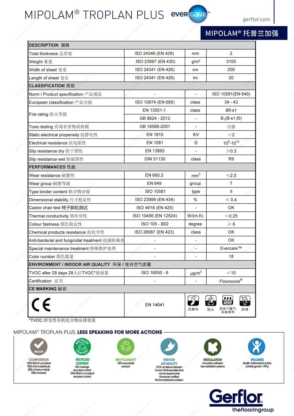 p5.jpg