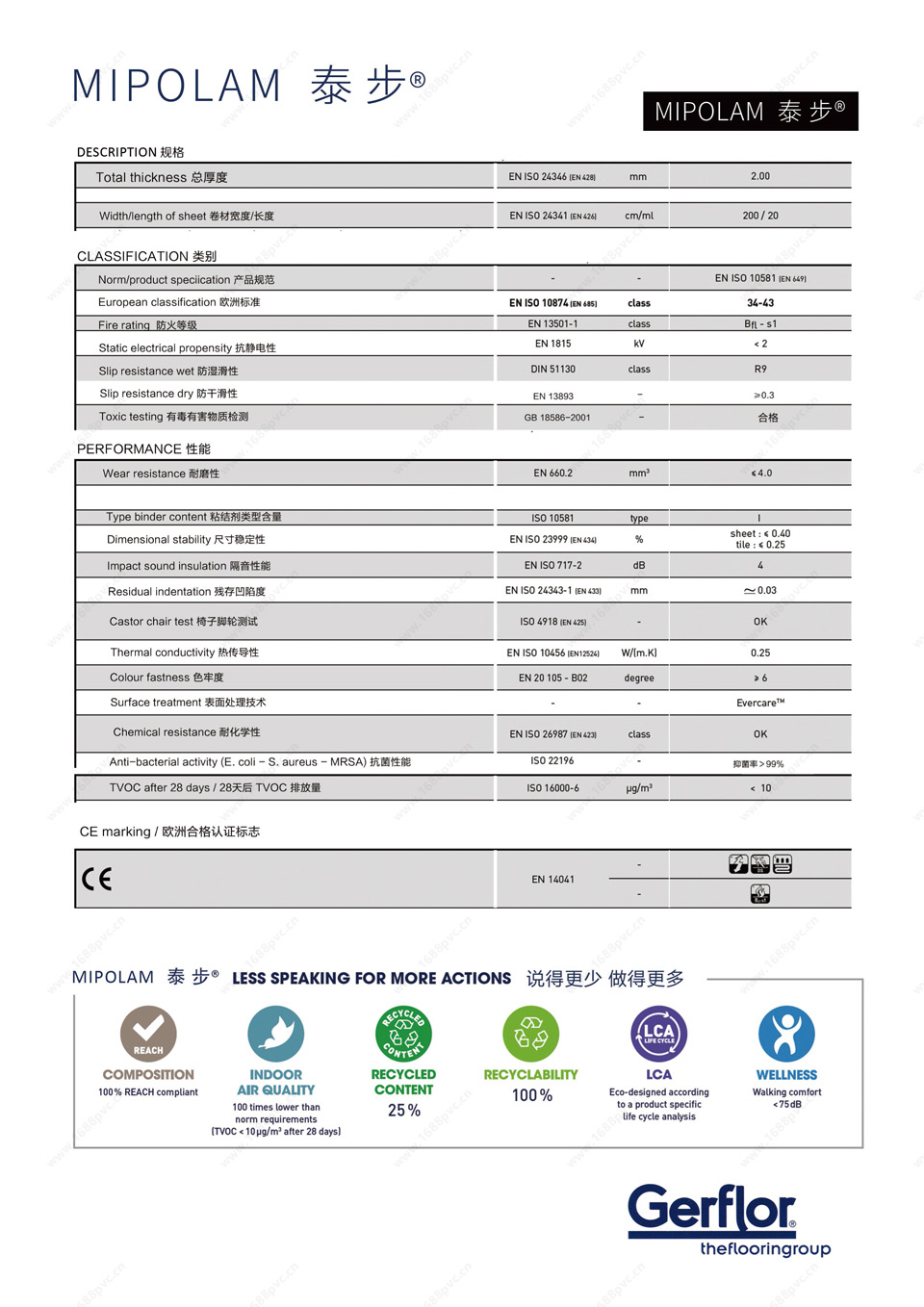 p6.jpg