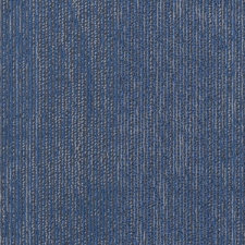 Blue Belle.jpg