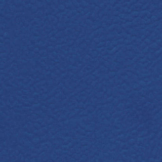 6430.jpg